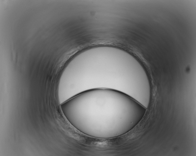 X0000116280068200911301050