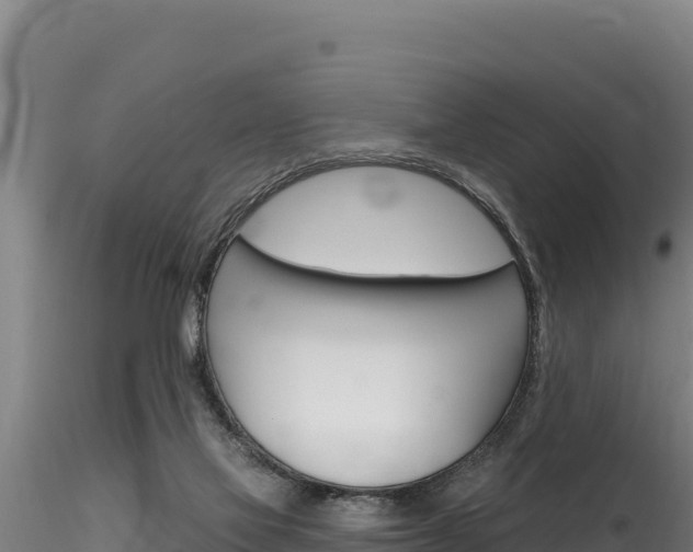 X0000116280069200911301050