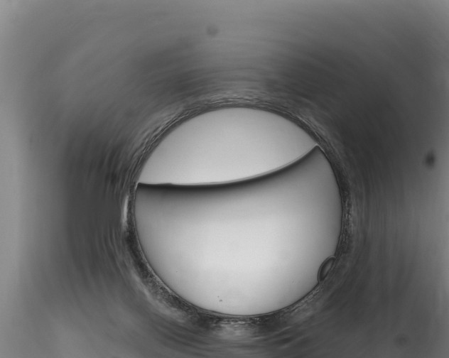 X0000116280070200911301050