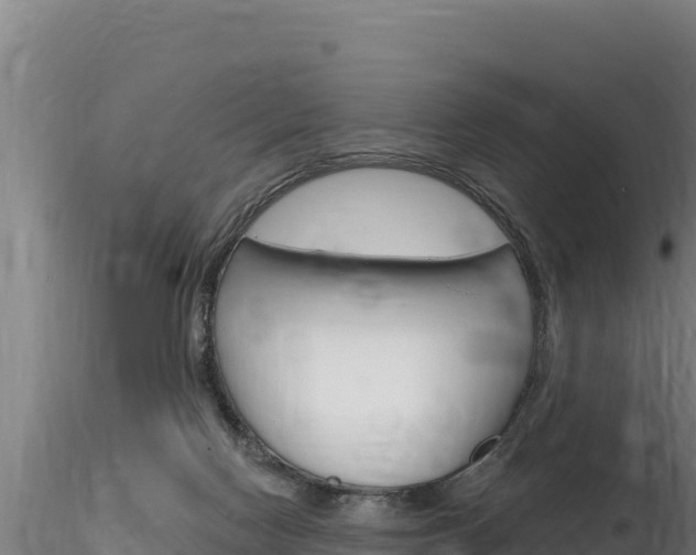 X0000116280074200911301050