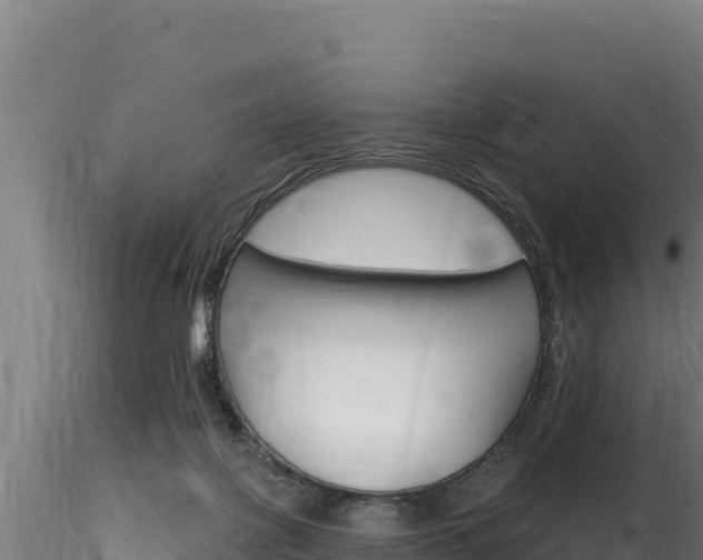 X0000116280075200911301050