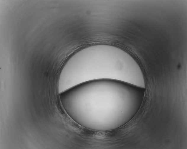 X0000116280076200911301050