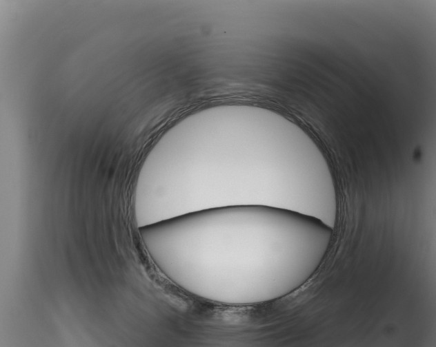 X0000116280078200911301050