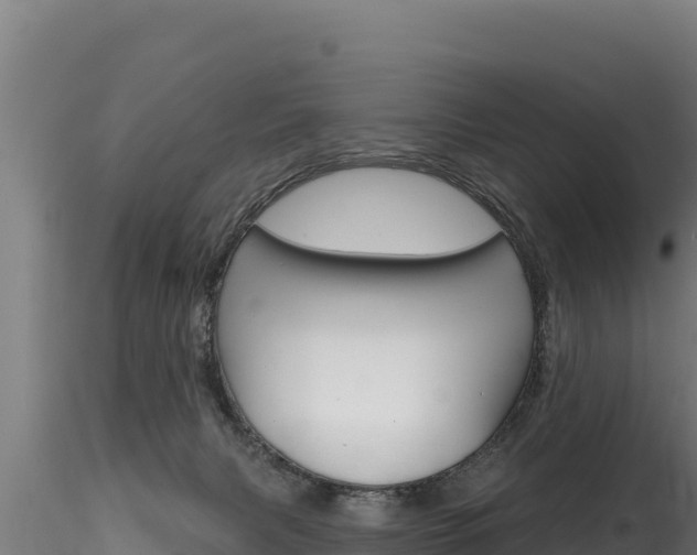 X0000116280079200911301051