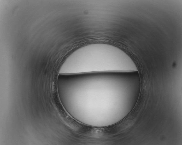X0000116280080200911301051