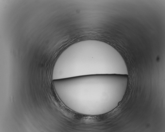 X0000116280082200911301051