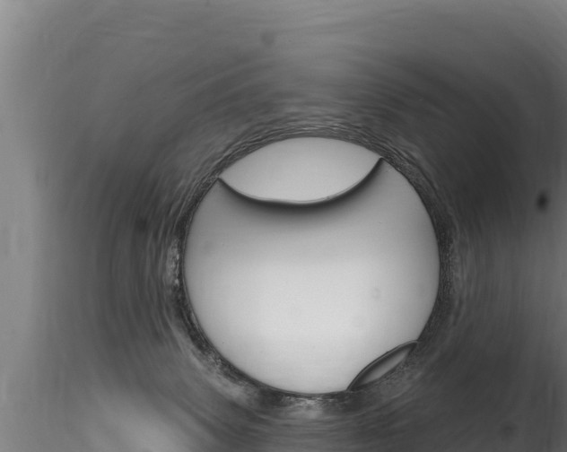 X0000116280083200911301051
