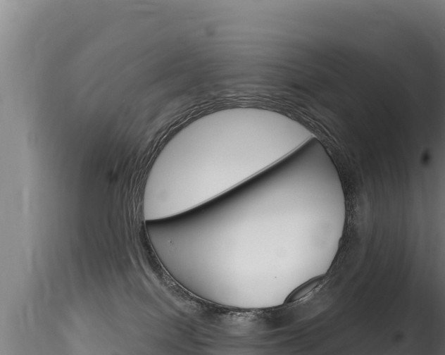 X0000116280086200911301051
