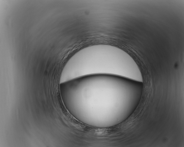 X0000116280088200911301051