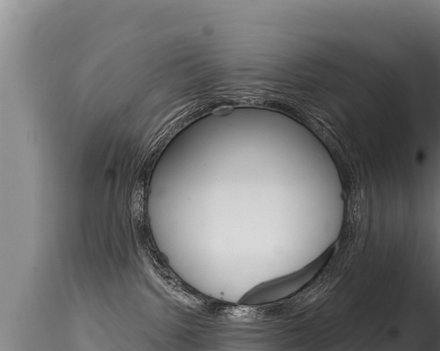 X0000116280092200911301051