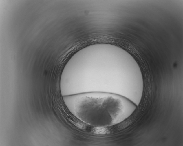 X0000116280095200911301051