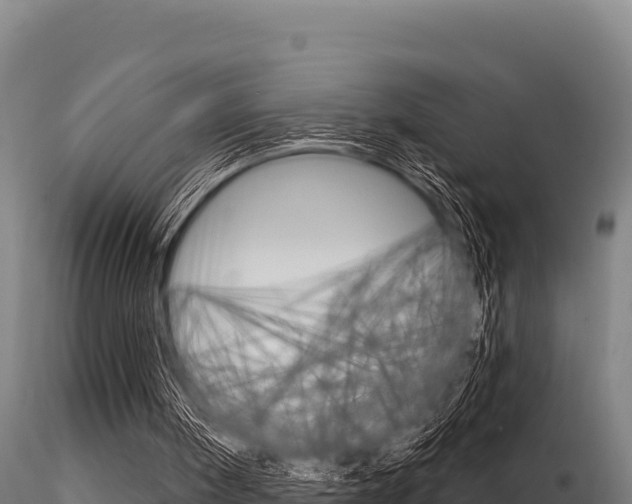 X0000116280098200911301050