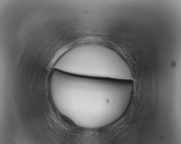 X0000116280099200911301050