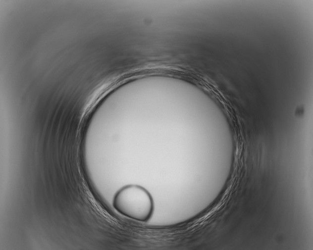 X0000116280101200911301050