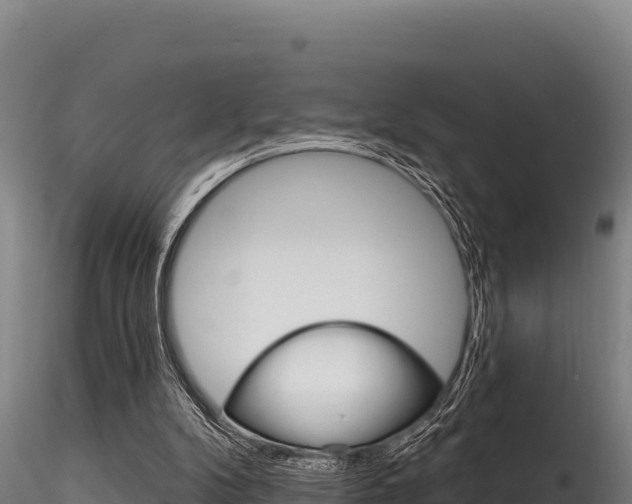 X0000116280104200911301050