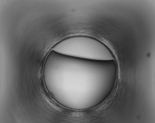 X0000116280105200911301050