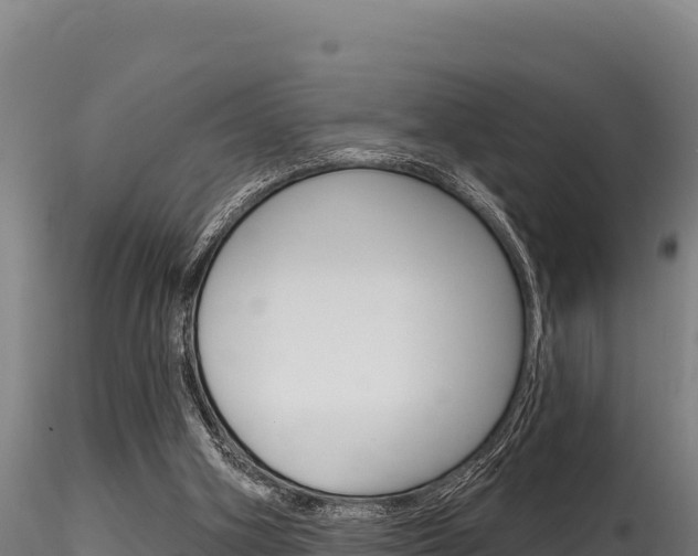 X0000116280106200911301050