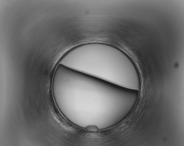 X0000116280107200911301050