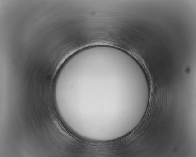 X0000116280108200911301050