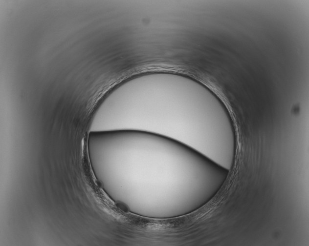X0000116280109200911301050