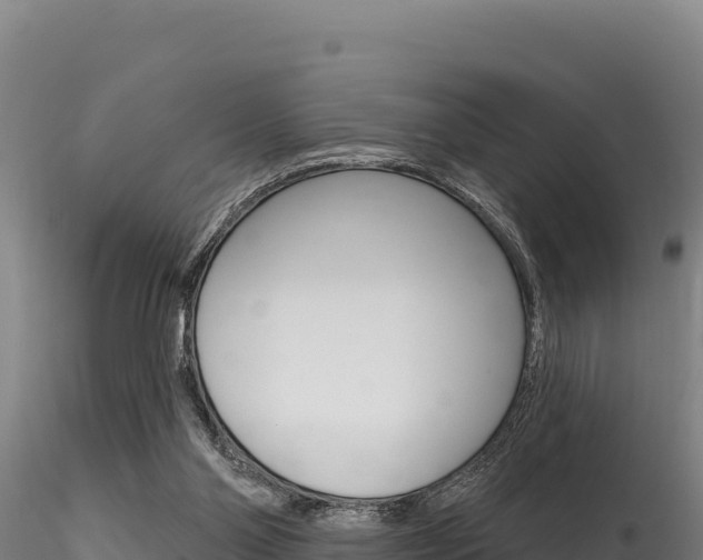 X0000116280110200911301050