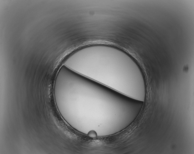 X0000116280111200911301050