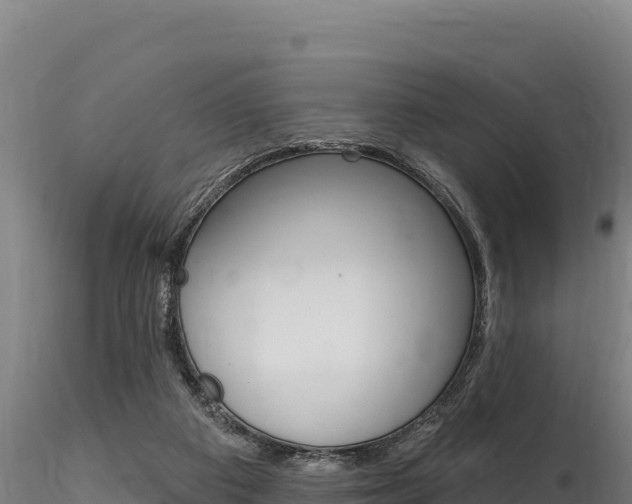 X0000116280113200911301050
