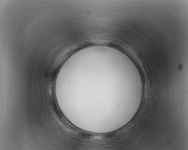 X0000116280114200911301050