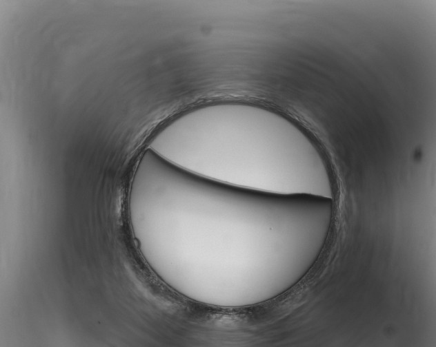 X0000116280115200911301050