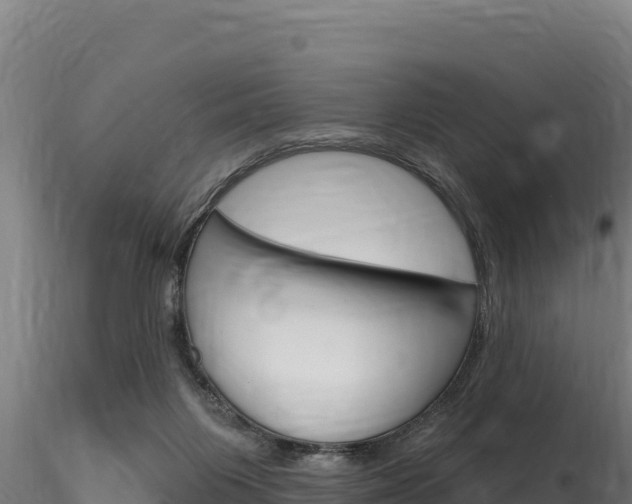 X0000116280119200911301049