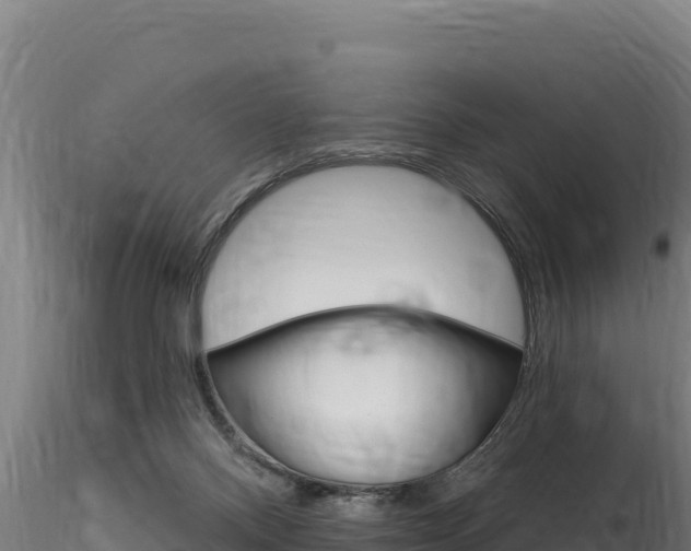 X0000116280120200911301049