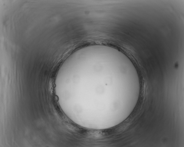 X0000116280121200911301049
