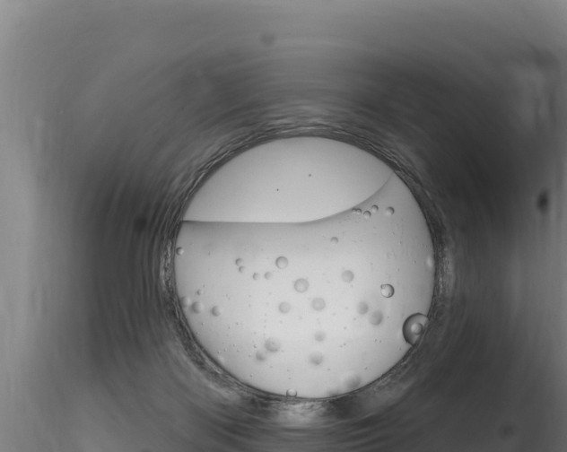X0000116280122200911301049