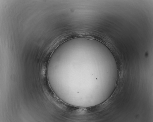 X0000116280124200911301049
