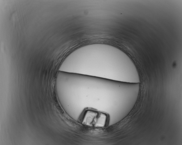 X0000116280125200911301049