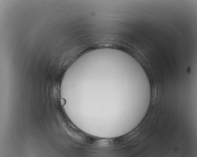 X0000116280126200911301049