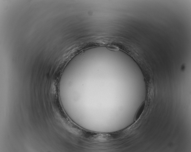 X0000116280128200911301049
