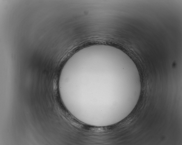 X0000116280131200911301049