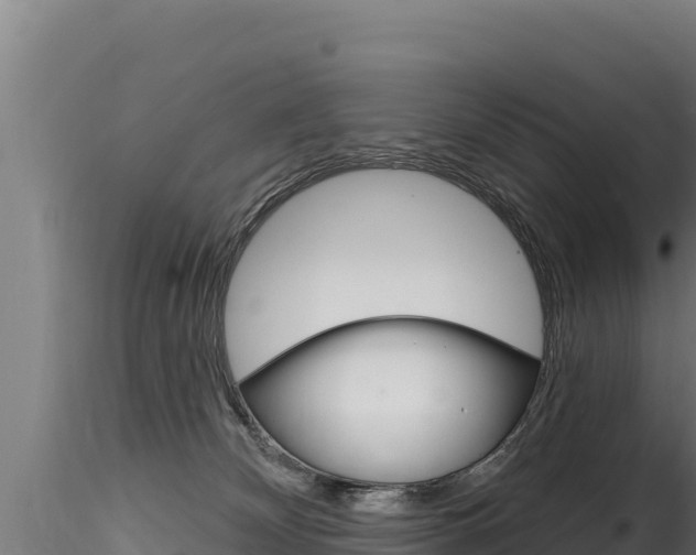 X0000116280132200911301049