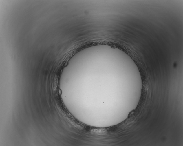 X0000116280133200911301049