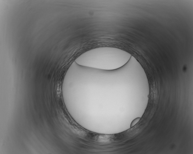 X0000116280134200911301049
