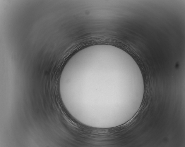 X0000116280136200911301049