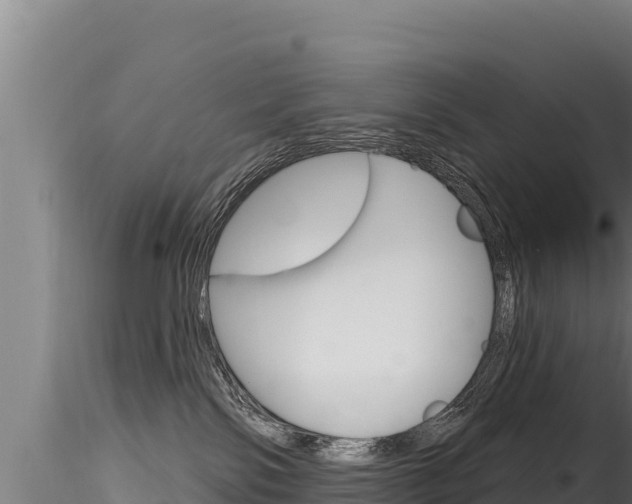 X0000116280138200911301049