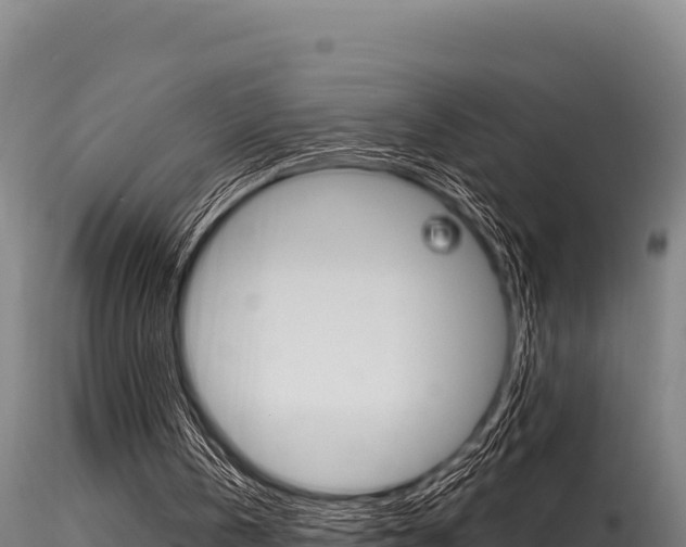 X0000116280146200911301048