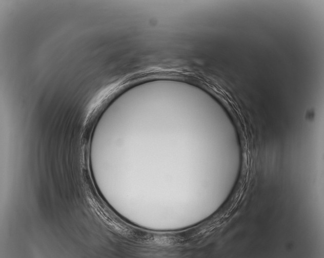 X0000116280149200911301048