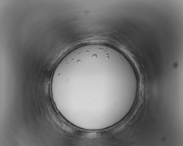 X0000116280153200911301048