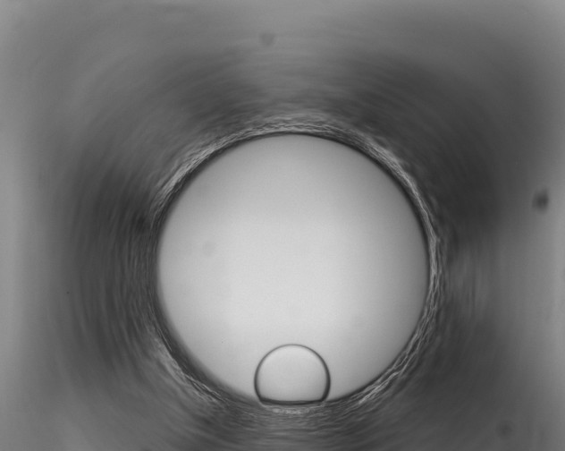X0000116280154200911301048