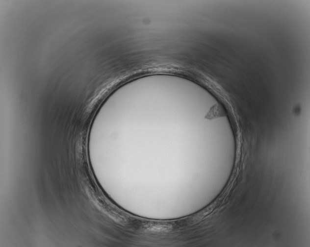 X0000116280155200911301048