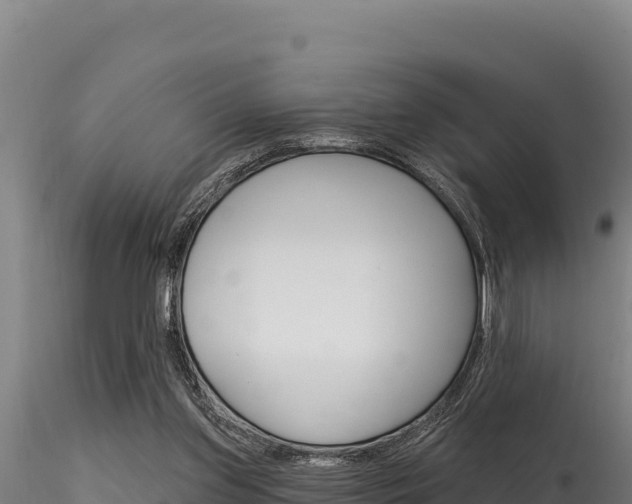 X0000116280157200911301048