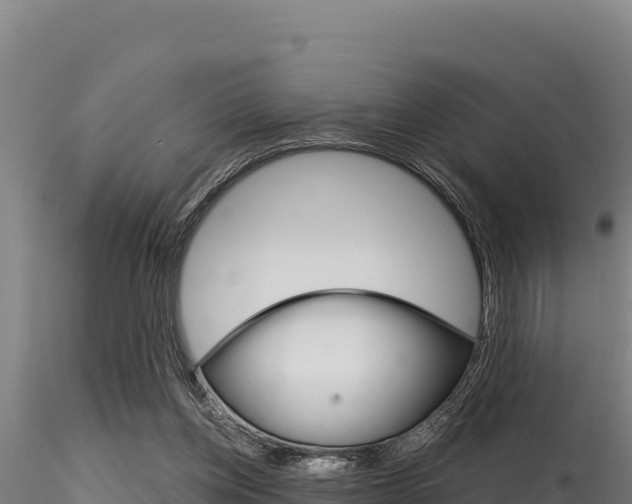 X0000116280158200911301048
